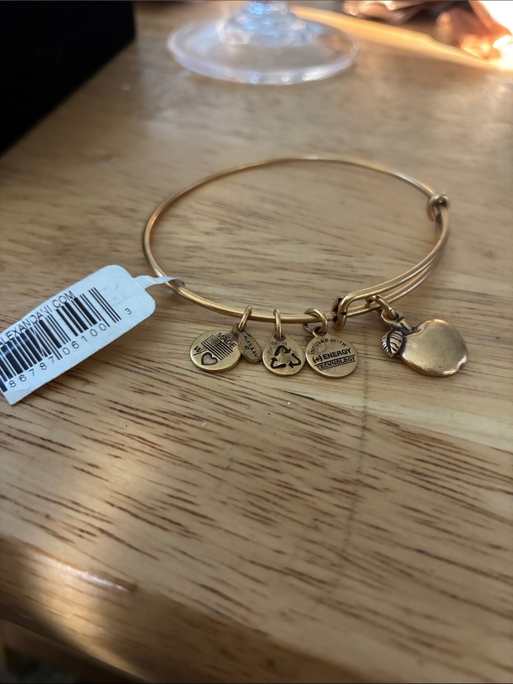 Alex and Ani Bracelet  with an Apple and Other  Charms With Logo NWT